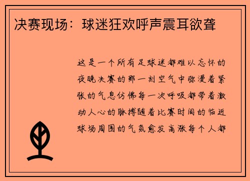 决赛现场：球迷狂欢呼声震耳欲聋